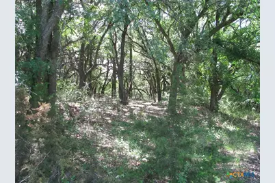Tbd Fm 2842, Hamilton, TX 76531 - Photo 16