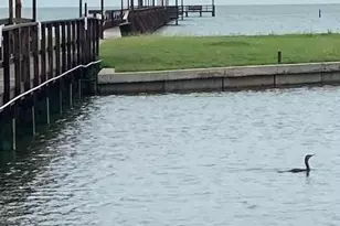 2003 N Fulton Beach Rd, Rockport, TX 78382 - Photo 38