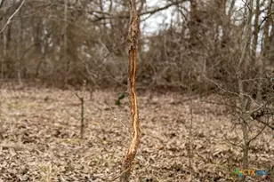 000 McLennan Rd, Troy, TX 76579 - Photo 20