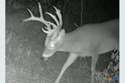 000 McLennan Road, Troy, TX 76579 - Photo 26