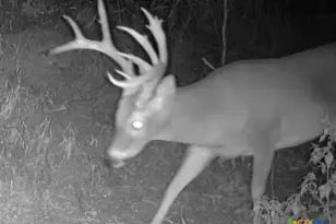 000 McLennan Rd, Troy, TX 76579 - Photo 26