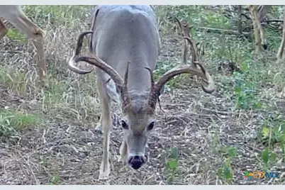 000 McLennan Road, Troy, TX 76579 - Photo 28