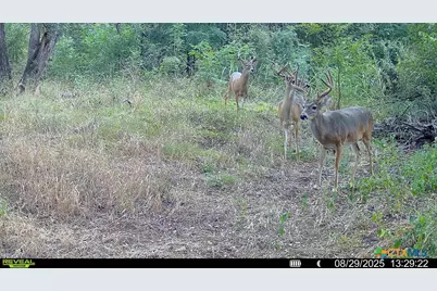 000 McLennan Road, Troy, TX 76579 - Photo 32