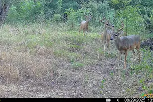 000 McLennan Rd, Troy, TX 76579 - Photo 32