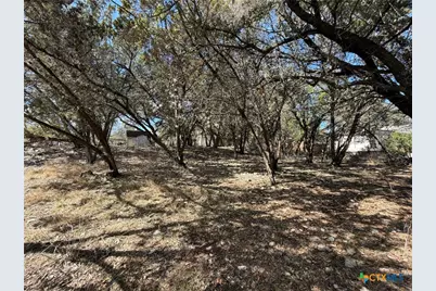 613 Royal Oak Drive, Canyon Lake, TX 78133 - Photo 2