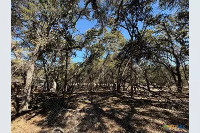 618 W Clark Street, Canyon Lake, TX 78133 - Photo 14