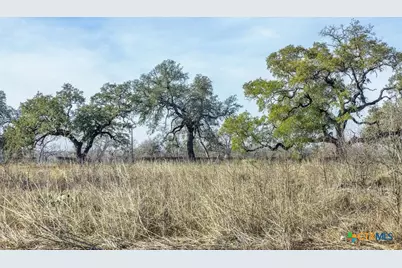 600 River Road, Martindale, TX 78655 - Photo 8