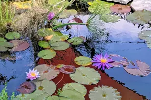 410 Downing St, Belton, TX 76513 - Photo 32