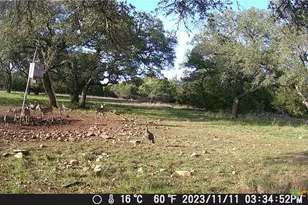 1595 Skyridge Rd, Lampasas, TX 76550 - Photo 30