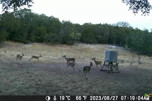 1595 Skyridge Rd, Lampasas, TX 76550 - Photo 26