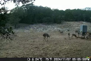 1595 Skyridge Rd, Lampasas, TX 76550 - Photo 4