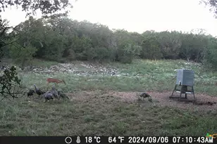 1595 Skyridge Rd, Lampasas, TX 76550 - Photo 24