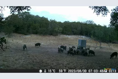 1595 Sky Ridge Road, Lampasas, TX 76550 - Photo 28