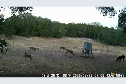 1595 Sky Ridge Road, Lampasas, TX 76550 - Photo 22