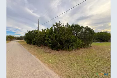 1645 Blueridge Drive, Canyon Lake, TX 78133 - Photo 10