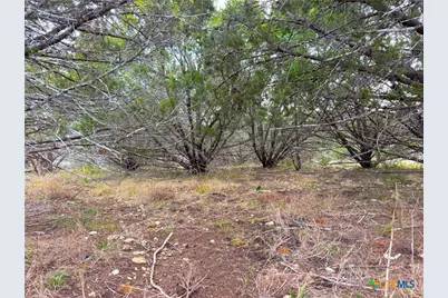 1645 Blueridge Drive, Canyon Lake, TX 78133 - Photo 8