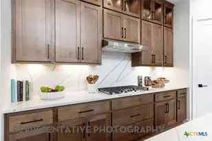 113 Gazelle Point, Cibolo, TX 78108 - Photo 4