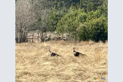 1950 County Road 299, Gatesville, TX 76528 - Photo 24