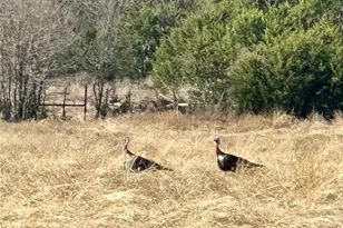 1950 Co Rd 299, Gatesville, TX 76528 - Photo 24