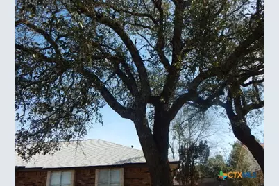 805 Craddock Street, Copperas Cove, TX 76522 - Photo 12