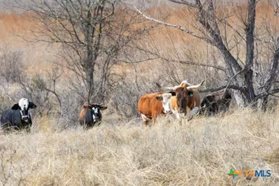 Tbd County Road 139, Gatesville, TX 76528 - Photo 20