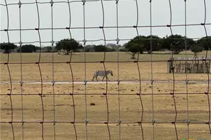 1280 Co Rd 118, Copperas Cove, TX 76522 - Photo 46