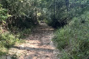 1290 Co Rd 302, Rockdale, TX 76567 - Photo 4