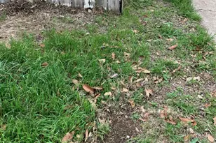 5606 1/2 Joe Sayers Ave, Austin, TX 78756 - Photo 6