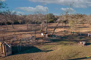 1465 Co Rd 401, Edna, TX 77957 - Photo 36