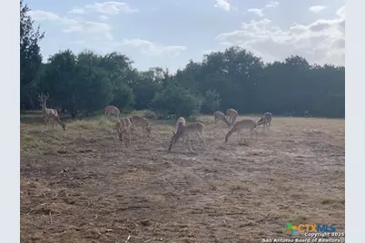 523 Oak Shores Drive, Canyon Lake, TX 78133 - Photo 8