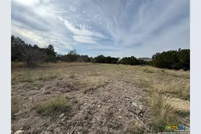 523 Oak Shores Drive, Canyon Lake, TX 78133 - Photo 6