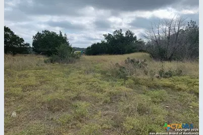 523 Oak Shores Drive, Canyon Lake, TX 78133 - Photo 10