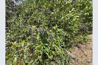 Tbd Arrowhead Point Road, Belton, TX 76513 - Photo 4