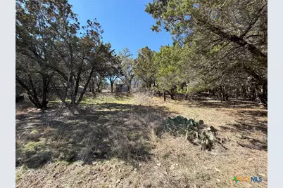 621 Royal Oak Drive, Canyon Lake, TX 78133 - Photo 2