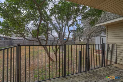 217 Gruene Road, New Braunfels, TX 78130 - Photo 18
