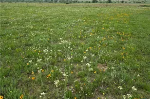 2238 County Rd 2109, Lometa, TX 76853 - Photo 30