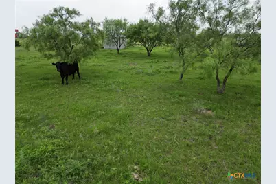 2238 County Road 2109, Lometa, TX 76853 - Photo 22