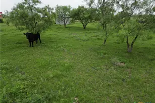 2238 County Rd 2109, Lometa, TX 76853 - Photo 22