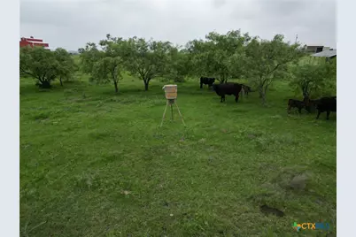 2238 County Road 2109, Lometa, TX 76853 - Photo 28