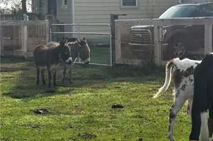 13340 State Hwy 172, La Ward, TX 77970 - Photo 2