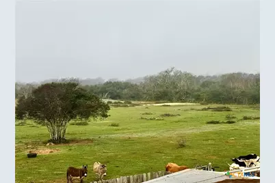 13340 State Highway 172, La Ward, TX 77970 - Photo 32