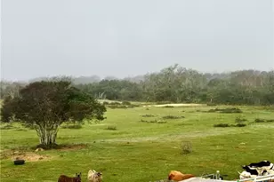 13340 State Hwy 172, La Ward, TX 77970 - Photo 32