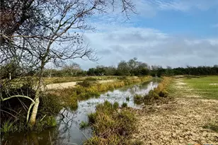13340 State Hwy 172, La Ward, TX 77970 - Photo 6