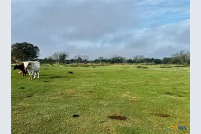 13340 State Highway 172, La Ward, TX 77970 - Photo 8