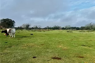 13340 State Hwy 172, La Ward, TX 77970 - Photo 8