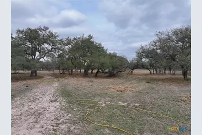 1385 Bego Road, Goliad, TX 77963 - Photo 18