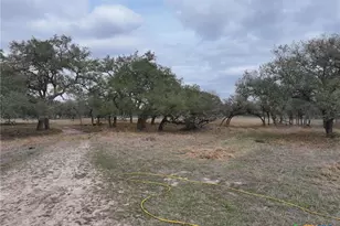 1385 Bego Rd, Goliad, TX 77963 - Photo 18