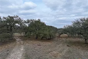 1385 Bego Rd, Goliad, TX 77963 - Photo 30