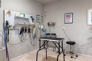 301 Canyon Edge, Canyon Lake, TX 78133 - Photo 38