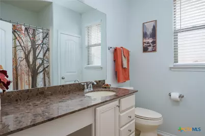 314 Autumn Willow Drive, San Marcos, TX 78666 - Photo 20